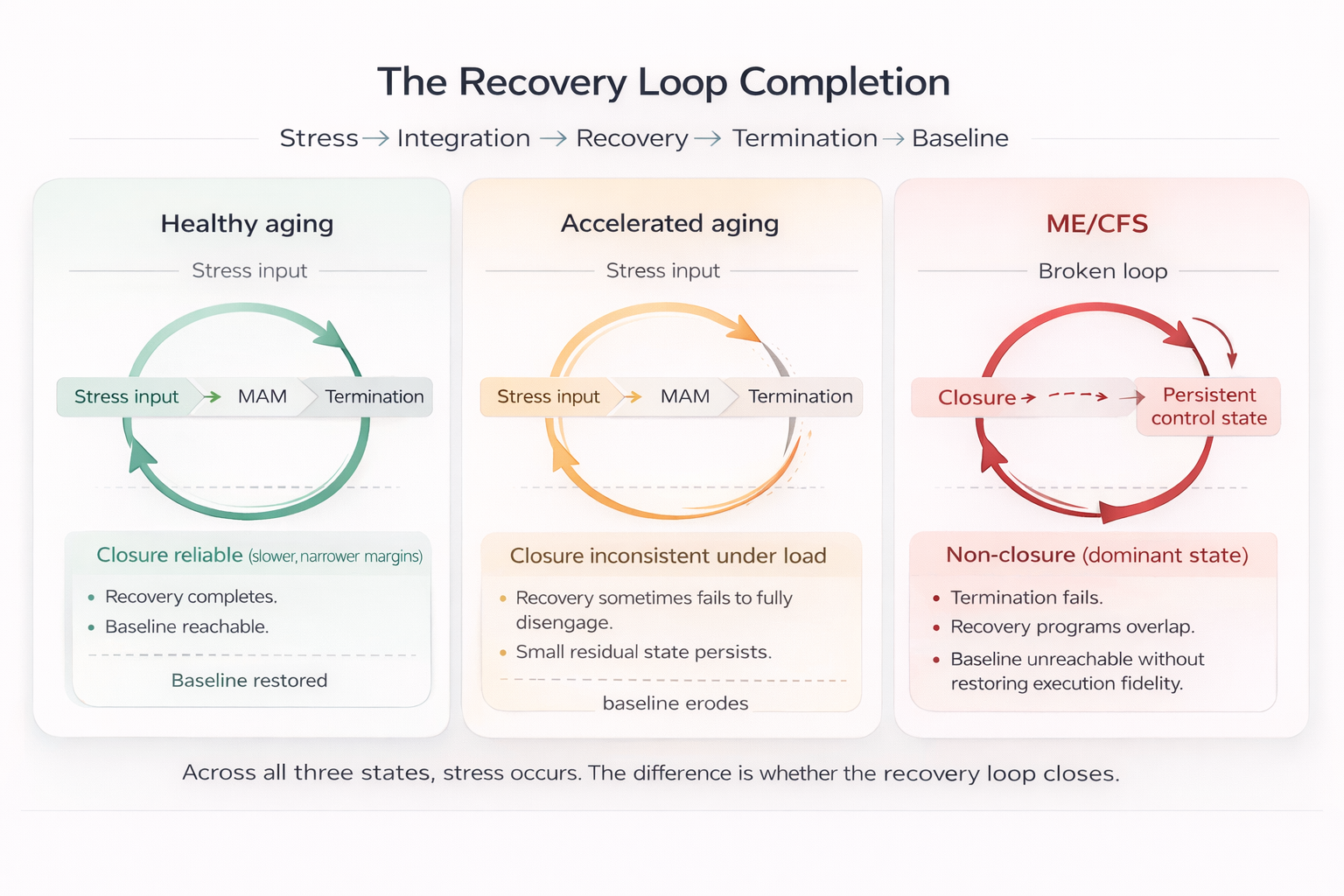 Three-panel loop diagram comparing Healthy Aging, Accelerated Aging, and ME/CFS. Healthy aging shows a closed recovery loop. Accelerated aging shows a partial loop with a small gap. ME/CFS shows a broken loop diverting into a persistent control state.